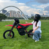 2025 Electric Bike Showdown: Yozma IN10 vs. Riding Times GT73